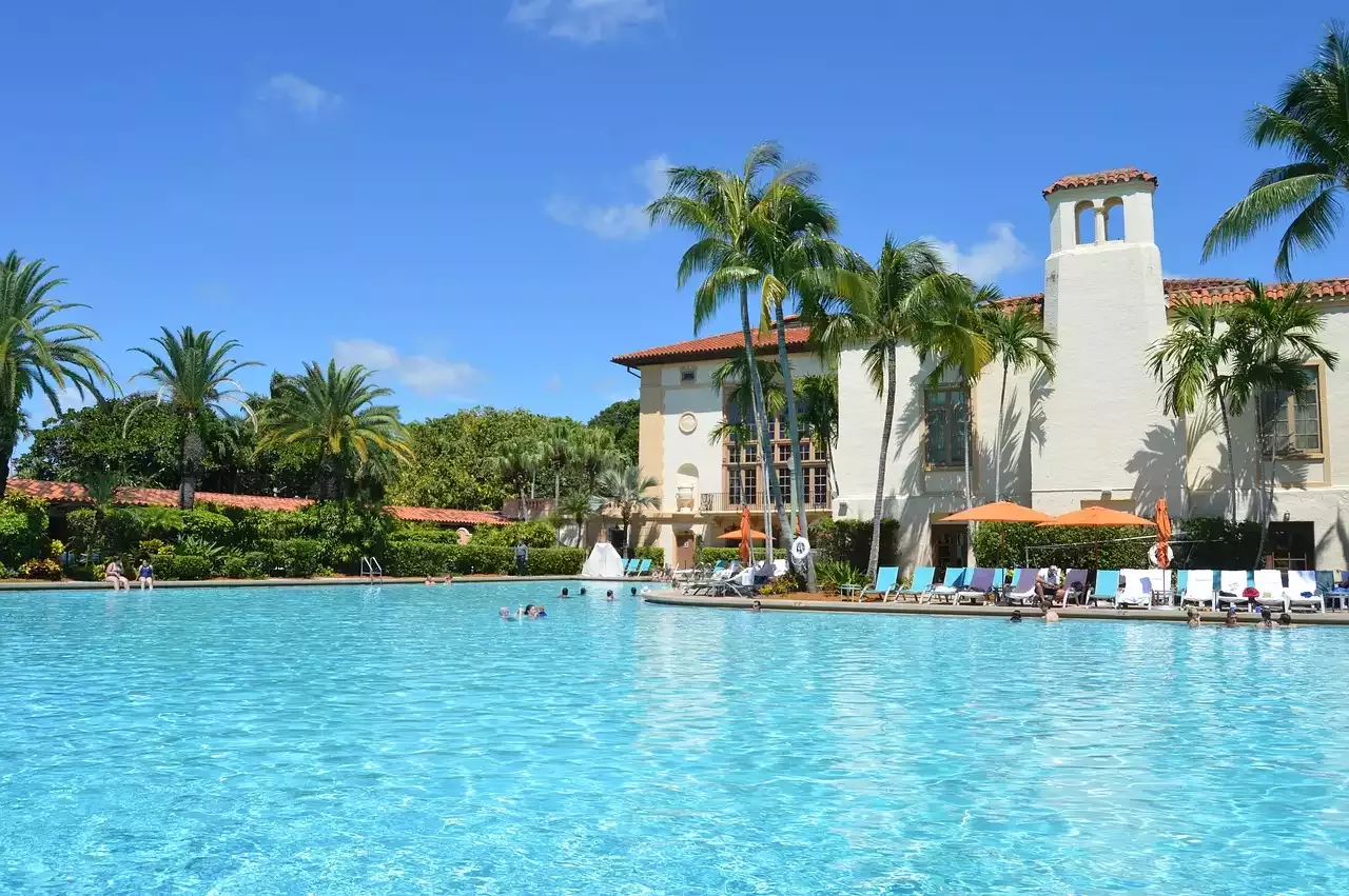 השחיינים התחרותיים המפורסמים ביותר בהיסטוריה